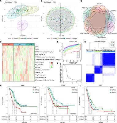 Immunological Classification of Pancreatic Carcinomas to Identify Immune Index and Provide a Strategy for Patient Stratification